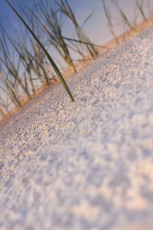Desert compositions. Desert dunesの写真素材