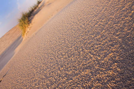 Desert compositions. Desert dunesの写真素材