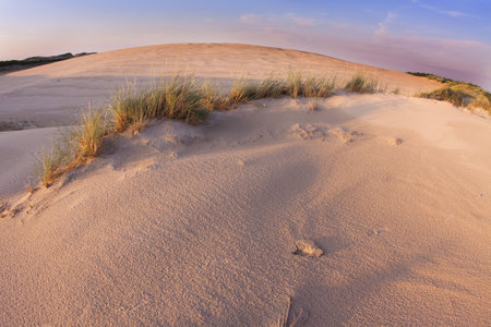 Desert compositions. Desert dunesの写真素材