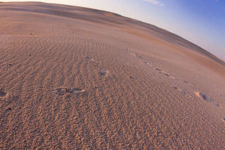 Desert compositions. Desert dunesの写真素材