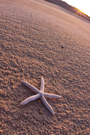 Desert compositions. Desert dunesの写真素材