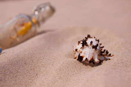 Beach compositions. Botlle brought by the waterの写真素材