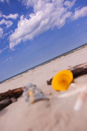 Beach compositions. Botlle brought by the waterの写真素材
