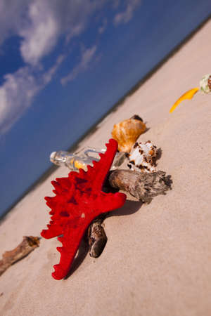 Beach compositions. Botlle brought by the waterの写真素材