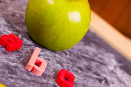 Exhibition of school. Back to school  の写真素材