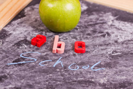 Exhibition of school. Back to school  の写真素材