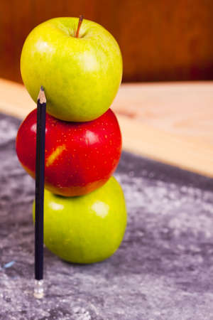 Exhibition of school. Back to school  の写真素材