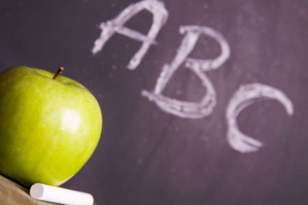 Exhibition of school. Back to school  の写真素材