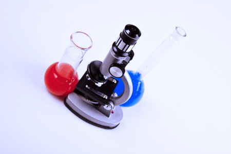 Under the microscope