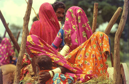 Lambadis(Indian gypsies) on bullock carts travelling to their villageのeditorial素材
