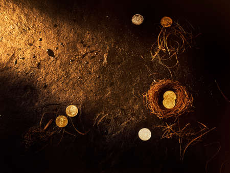 Lakshmi & Ganesha coins for Deepawali in bird's nestの写真素材