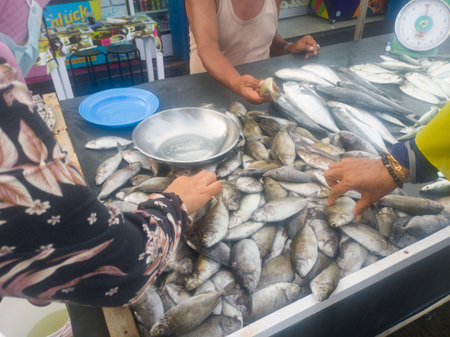 piles of fish caught by fishermen that will be sold