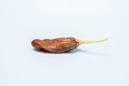 chili is rotten, wrinkled and exposed to white pests, the concept of vegetables is not healthy and...
