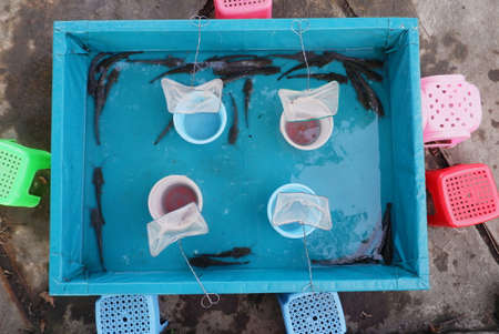 children's fishing pool game containing catfishの写真素材