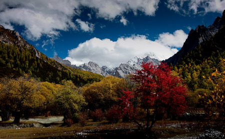 Aden autumn fairy tale worldの写真素材