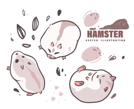 cartoon style hamster doodle . Hamster vector illustrationのイラスト素材