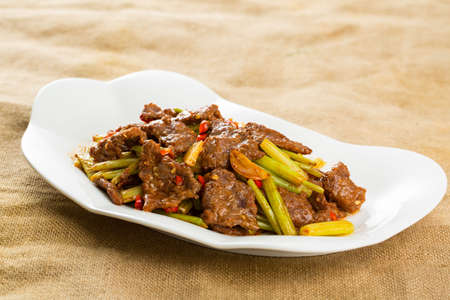 Stir fry meat with vegetables and chilliの写真素材