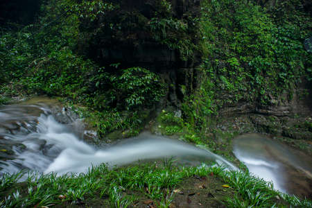 Brooksの写真素材