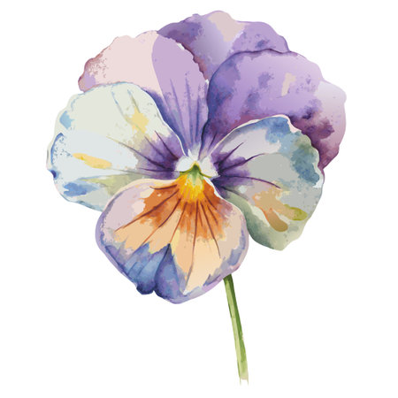 A delicate watercolor illustration of a single pansy flower, isolated against a white background. Perfect for floral design projects, greeting cards, and more.のイラスト素材