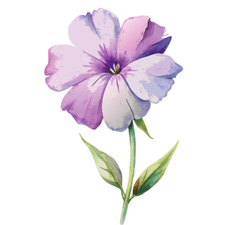 A delicate watercolor painting of a single pink phlox flower, isolated against a white background. The painting showcases the flower's intricate details and soft, vibrant colors.のイラスト素材