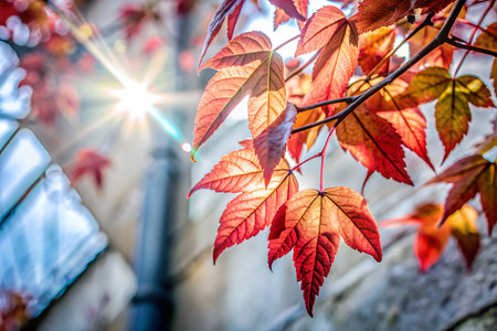 A close-up shot of red leaves in the corner of a frame, with soft light illuminating the scene. The...