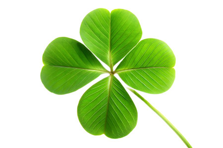 A close-up image of a single clover leaf isolated on a white background. The leaf is green and has...
