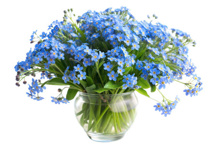 A vibrant bouquet of blue forget-me-not flowers arranged in a clear glass vase against a white background. The flowers are in full bloom, showcasing their delicate petals and bright blue color.の写真素材