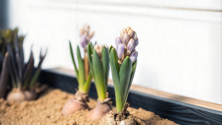 Close-up of delicate budding flowers and vibrant green shoots in a garden setting.