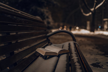 A book rests on a snow-covered bench in a park at night. The scene is dark and moody, with soft light from nearby streetlights.の写真素材