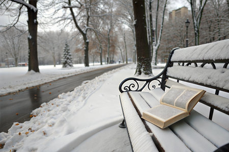 A book rests on a snow-covered bench in a park during winter. The scene is peaceful and serene.の写真素材