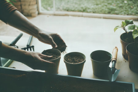 A person's hands planting soil into small pots, getting ready for seedlings. Home gardening concept.の写真素材