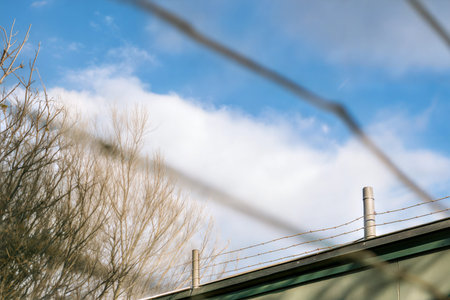 Barbed wire fence on top of a wall against a background of tree branches and a blue sky with clouds.