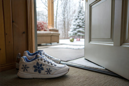 White sneakers with blue snowflake embroidery sit by a door leading to a snowy backyard.