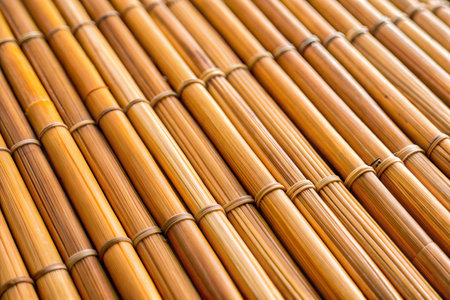 Close-up view of bundled golden bamboo sticks, showing intricate texture and natural pattern. Ideal for backgrounds or textures related to nature and Asian aesthetics.の写真素材