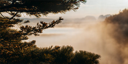 Pine branches frame a sunlit valley shrouded in mist at dawn. Serene and peaceful atmosphere.の写真素材