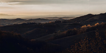 Stunning landscape photo of vineyards bathed in the golden light of sunset, rolling hills and distant mountains creating a picturesque view.の写真素材