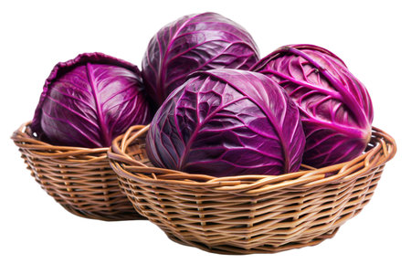 Three red cabbages in two brown wicker baskets, isolated on black background.の写真素材