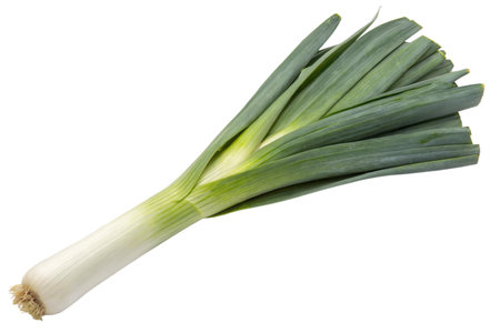 A single, fresh leek isolated on a black background. The leek is vibrant green and white.