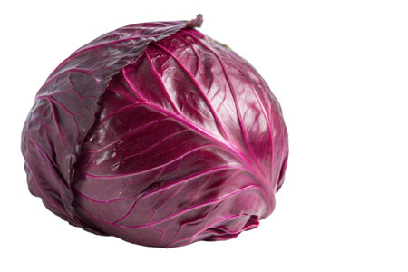 A vibrant red cabbage, showcasing its deep color and intricate leaf structure, is displayed against a solid black backdrop.の写真素材