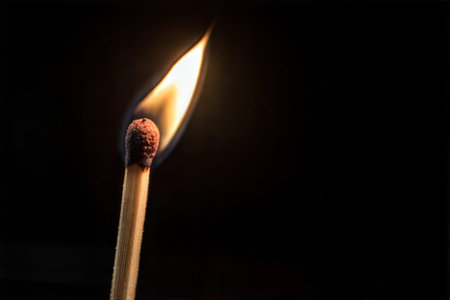 Close-up of a lit matchstick against a black background, highlighting the flame and the texture of the wood.の写真素材