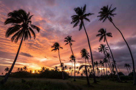 Silhouette of palm trees at sunset. Vibrant colors and dramatic sky. Peaceful tropical scene.の写真素材