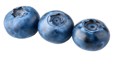 Macro shot of three ripe blueberries isolated on a black background.  High-detail image showing the texture and color of the berries.の写真素材