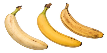Three bananas showing different ripening stages: green, yellow, and overripe.の写真素材