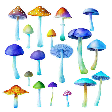 A vibrant collection of various mushrooms in watercolor style, showcasing a range of colors and shapes.  Perfect for fantasy or nature themes.の写真素材