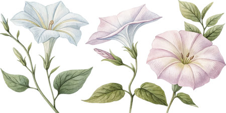 Watercolor painting of pale pink and blue flowers with green leaves. Botanical illustration.のイラスト素材