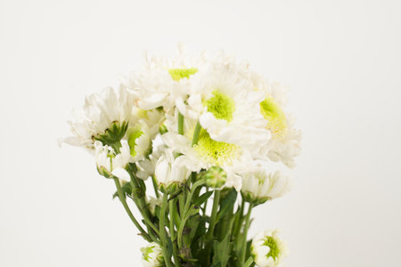 A close-up shot of a bouquet of white chrysanthemums with green centers, set against a clean, white background.の写真素材