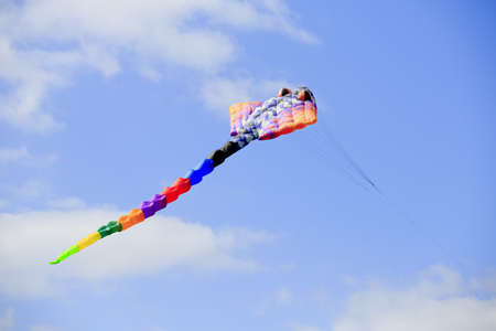 Colourful stingray at the 2013 Bristol International Kite Festivalの写真素材