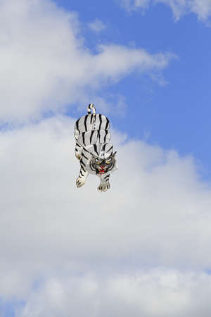 White tiger kite at the 2013 Bristol International Kite Festivalの写真素材