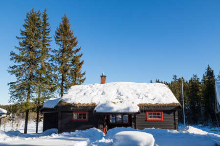 Typical black Norwegian cabin with fir trees surrounded by deep snow in the forest North of Osloのeditorial素材