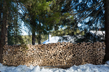 Large freshly chopped wood pile in dappled sunshine in the forest North of Oslo